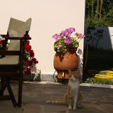 Andrianna Apartments Ammoudia Exterior foto